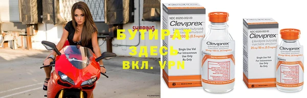 трава Верея