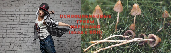 сатива Верхнеуральск