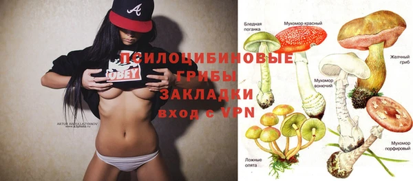 трава Верея