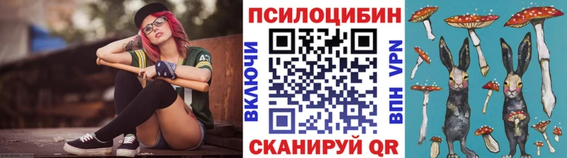 Галлюциногенные грибы Psilocybine cubensis  Шахты 