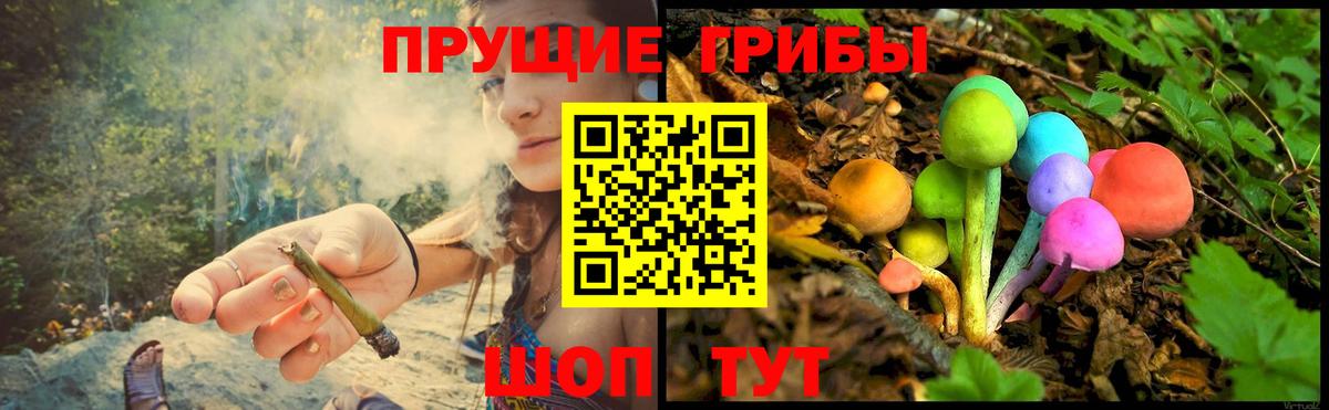 Псилоцибиновые грибы Magic Shrooms  Галлюциногенные грибы Psilocybine cubensis  Шахты  Вход с VPN 